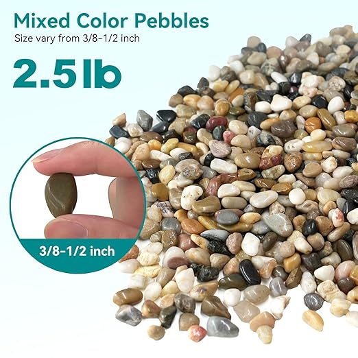 2.5 lbs Pebbles for Indoor Plants, Vase, Succulent, 3/8" Gravel for Plants, Pots Indoor, Bamboo Rocks for Bamboo Plants, Decorative Small River Rock, Highly Polished