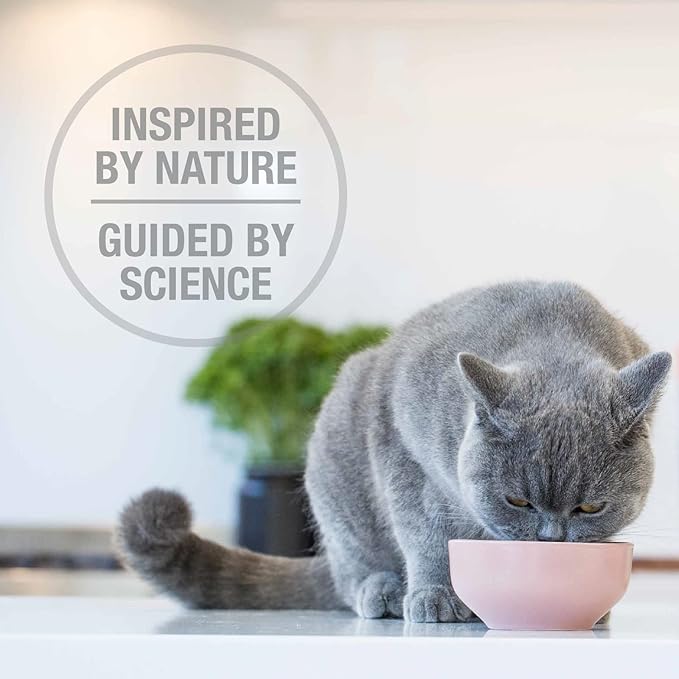 Feline Natural High Protein Dry Cat Food, Freeze-Dried Diet with 98% Meat, Organs & Seafood, No Peas, Grains, or Artificial Additives, Made in New Zealand, Beef & Hoki, 11oz