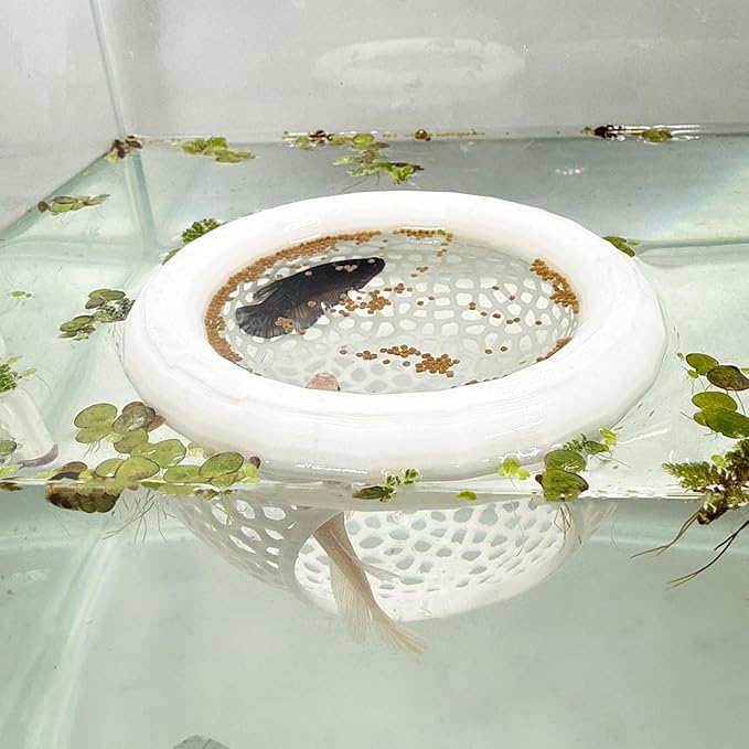 Aquarium Floating Betta Fish Skins, Betta or Shrimp Feeder, Cave and Hammock, Small Fish Feeding Rings, Aquarium Hiding Feeding Decorative Accessories (White)