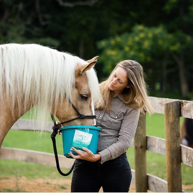 GALLAGHER'S WATER 2 Pack All-Natural Equine Hydration Treat - Enhancement Powder Mix Horse Drink Treat to Help Encourage to Drink Water - Made with All Natural Ingredients, FEI Compliant
