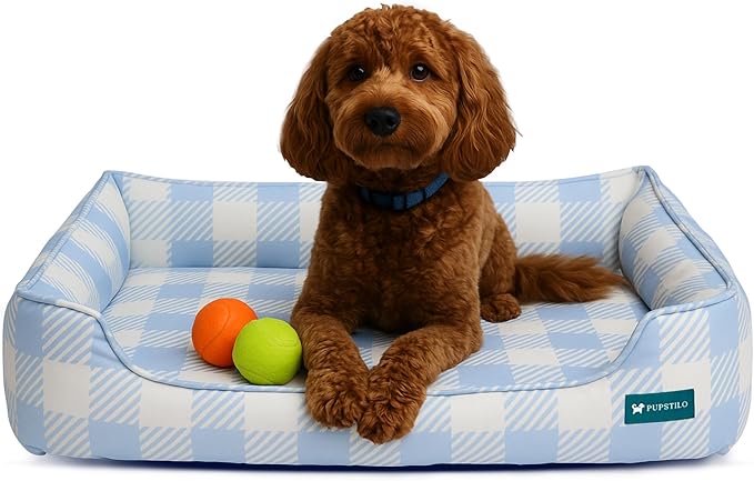 Orthopedic Bolster Dog Bed – CertiPUR-US Foam, Recycled Polyester Canvas, Washable Cover, Anti-Slip Bottom, Large, Light Blue Check – Stylish Designer Dog Sofa