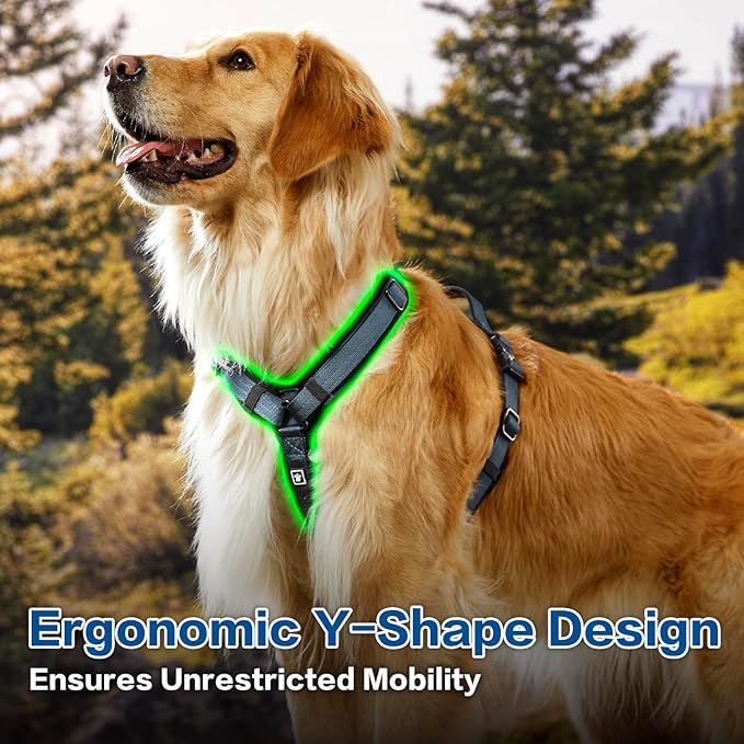 CLEPAWS Dog Harness for Medium Dogs, No Pull Dog Harness Easy Walk with Metal Hardware, Ergonomic Y-Shaped Design, Soft Padding, Padded Handle, Durable High-Tensile Nylon (Nightfall, M)