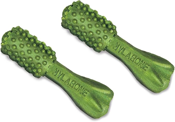 Nylabone Nutri Dent Dog Dental Chews - Natural Dog Teeth Cleaning & Breath Freshener - Dental Treats for Dogs - Fresh Breath Flavor, Mini (32 Count)