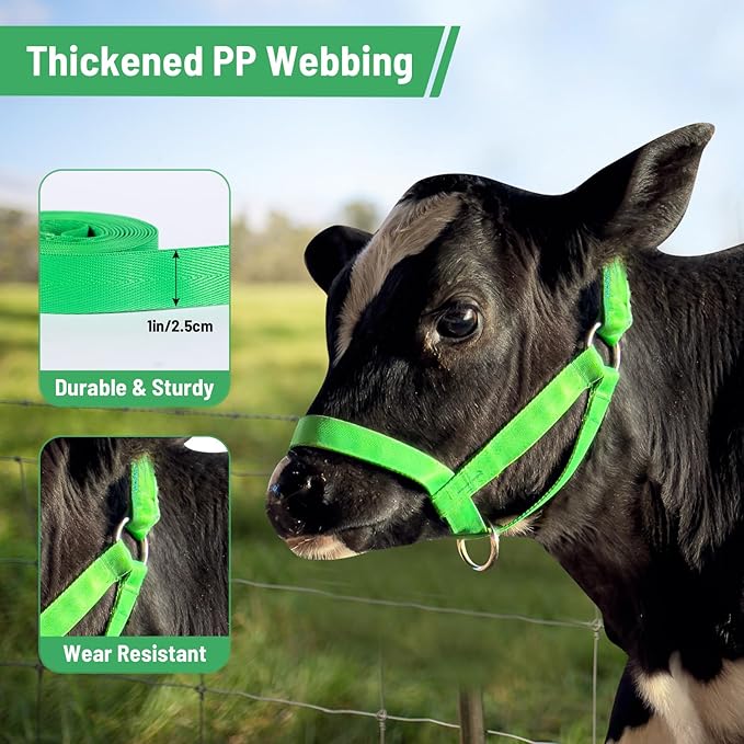 XUANNIAO Easily Adjustable Figure 8 Cow Halter, Double-Ply Premium Livestock Cattle Halters, Colorful Cow Utility Calf Halter with Leading Rope for Miniature Horse Donkey Goat Foal (Medium, Green)