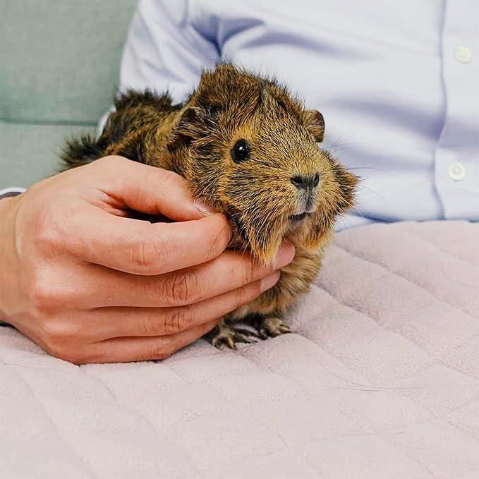 GuineaDad Premium Liner – Fleece Guinea Pig Cage Liner – Ultra-Plush Reusable Fleece Bedding with Waterproof Bottom – Extra Absorbent Liner for 2x3 C&C Cage (Rainy Day)
