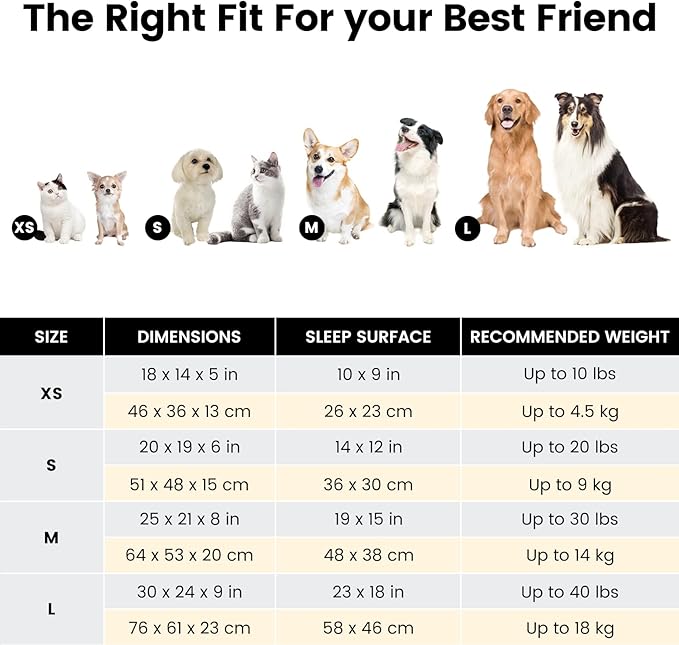 Miguel Washable Cat Beds for Indoor Cats with Removable Cushion, Easy to Wash Small Pet Sofa Bed with Side, Rectangle Bolster Kitten Bed Calming Cuddle Puppy Bed with Anti-Slip Bottom, Gray 20 Inch