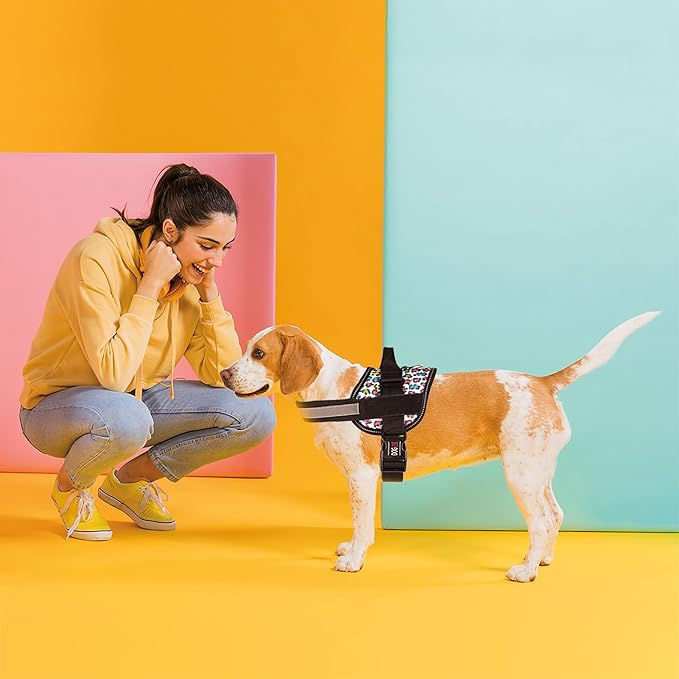 Dogline Dog Harness, Reflective No-Pull Adjustable Vest with Handle for Walking, Training, Breathable, No - Choke Harness for Small, Medium or Large Dogs Room for Patches Leopard Rainbow M 22"-28"
