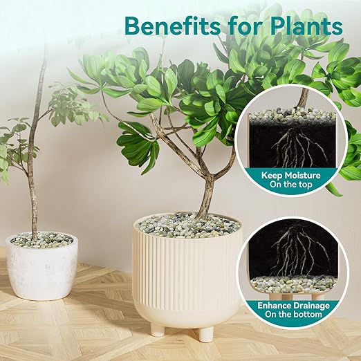 5 lbs Jade Pebbles for Indoor Plants, 3/8" Plant Rocks for Pots Indoor, Decorative Small Stones for Plants, Bamboo,Vase, Succulent, Highly Polished Small River Rocks