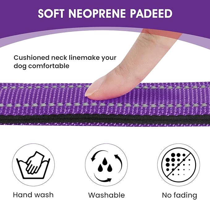 Reflective Dog Collar Padded with Soft Neoprene Breathable Quick Release Basic Dog Collars for Medium Dogs Purple Girl