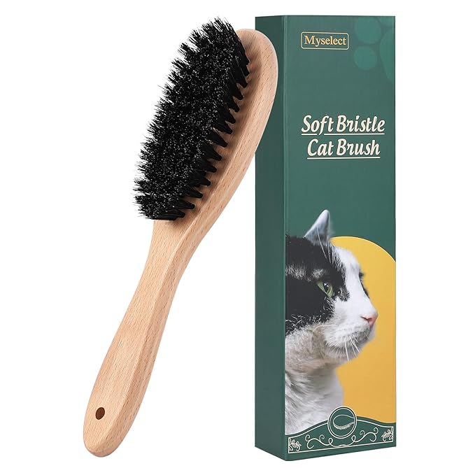 Boar Bristle Cat Brush with Wooden Handle, Soft and Gentle, Reduce Shedding, Make Coat Soft, Smooth and Shinny, Daily Grooming Tool for Short Haired Cats, Kitten