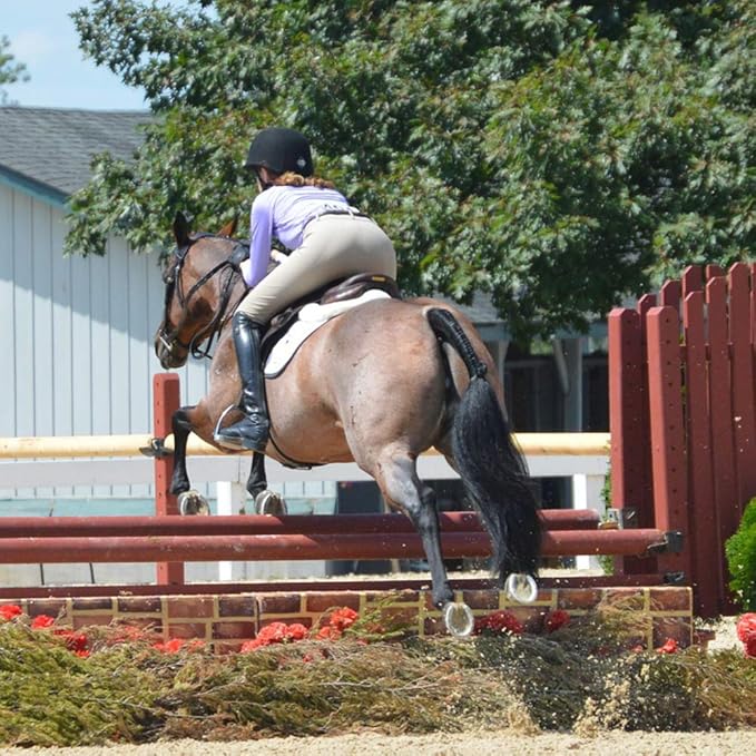 Horse Tail Extensions with Braided Horsehair Loop, Blunt Cut Bottom, 34-36 inches long and 1 lb Weight (Jet Black)