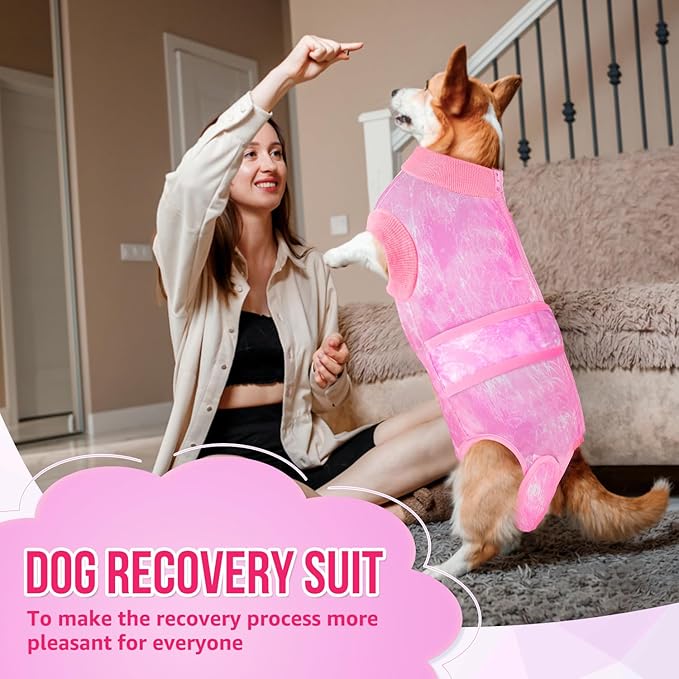 Lukovee Recovery Suit for Dogs, Zipper On Recovery Suit for Female Male Dog, Onesie Abdominal Wounds Cone E-Collar Alternative Prevent Licking Spay Recovery Suit (X-Small, Pink Tie-dye)