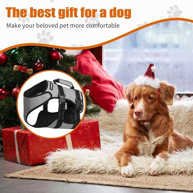 Ayquez Dog Lift Harness with Storage and Transport Bag, Dog Harness with Handle for Lifting & Hip dysplasia, arnés para Perros pequeños, pechera para Perros (Gray, XXL)