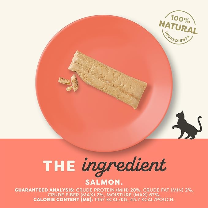 Applaws Natural Cat Treats, Grain-Free, High-Protein Whole Salmon Loins, Single-Ingredient Healthy Snack for Cats (12 x 1.06 oz Loins)