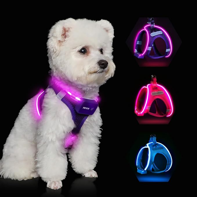 Light Up Dog Harness,Rechargeable LED Dog Harness for Small Medium Large Dogs,Reflective Lighted Safety Vest for Night Walking & Camping,Lightweight & Adjustable,Purple,XS