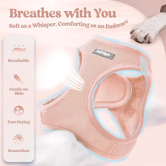 rabbitgoo Dog Harness Small Medium Sized and Leash Set, Step in Soft Light Puppy Vest, Breathable Mesh Pet Harness, Reflective for Safe Outdoor Walking, Pink L