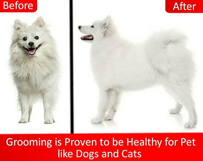 Mr. Peanut’s Pet Grooming Glove – Deshedding Hair Removal Mitt with Gentle Silicone Tips, Adjustable Wrist Strap & Breathable Mesh; Perfect for Dogs, Cats, Rabbits & Small Pets