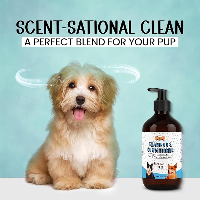 POM Pets 2-in-1 Organic Dog Shampoo & Conditioner – Itchy Skin Relief, Dog Deshedding, Detangles Fur, Cat Shampoo, Paw Cleaner for Dogs, Natural Coat Defense Formula