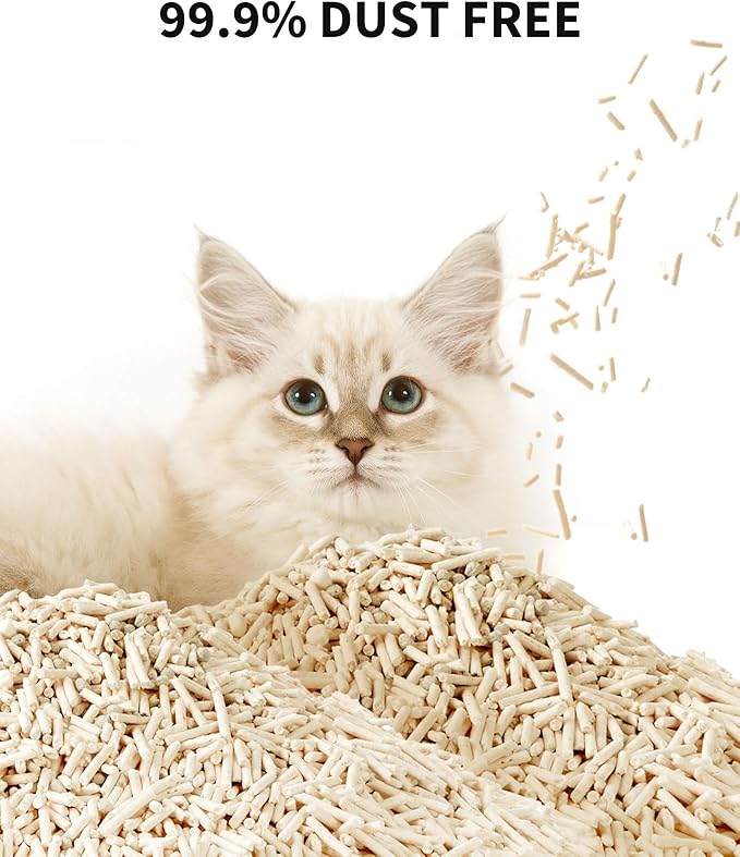 PETKIT New Occult Blood Monitoring Cat Litter, Ultra Absorbent Clumping Mixed Tofu Bentonite Litter, Odor Control and Dust Free