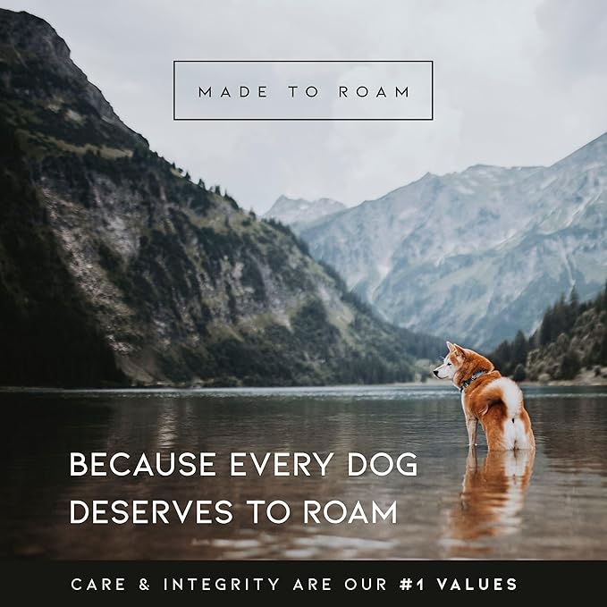 MADE TO ROAM Premium Explorer Harness - Y-Shaped Dog Harness with Adjustable Durable Nylon, Soft Padding, Metal Buckles and Leather Handle for Small, Medium, Large Dogs (Texas Flair, Size 5)