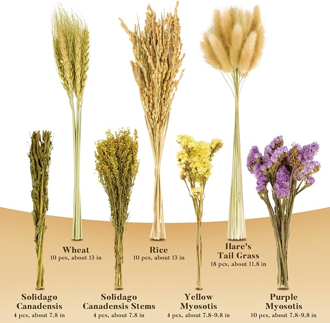 Sukh Nature Flower Herb Hamster Bedding Cage Enclosure Habitat Decor Mate Small Animal Natural Ear of Grain Sprays for Syrian Dwarf Hamsters Gerbils Rabbit Other Pets