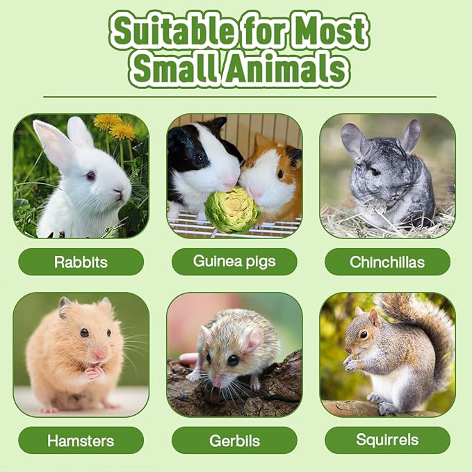 Abizoo Freeze Dried Brussels Sprouts Rabbit and Hamster Chew Treats Resealable Jar for Hamsters Bunny Guinea Pigs Groundhogs Natural Fiber Vitamin Snacks