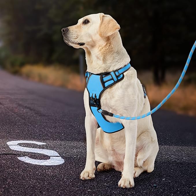 IVY&LANE No Pull Dog Harness for Large Dogs, Dog Vest Harness with Leash, Safety Belt and Storage Strap, Fully Adjustable Harness, 360° Reflective Strip, Soft Handle (Blue,XL)