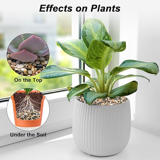 Decorative Rocks for Potted Plants,Virekm River Rocks, Decorative Ornamental Pebbles,Garden Landscaping Stones Gravel Filler for Home Decoration Flower Bed Fish Tank Plants Vases Succulents (5 Pounds)