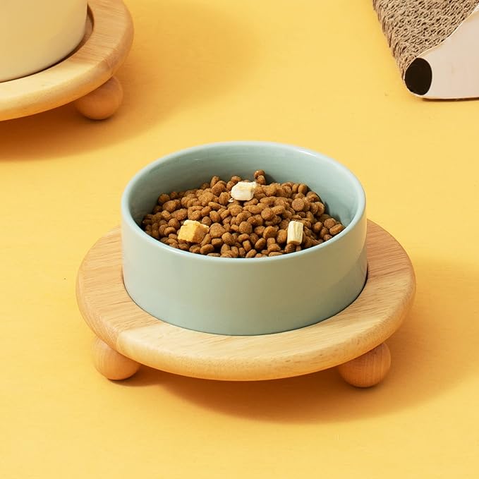 Ceramic Elevated Cat Food and Water Bowl, Kitty Bowl, Raised Cat Dish, Pet Feeder (5.1 in,1 x Light Green + Stand)