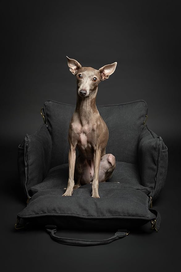 Noah & Paw Dog Car Seat Carrier, Small Dog Car Seat for Small Medium Pets with Harness Clip, 4X Safety Feature, Booster Travel Bed, Waterproof Washable, Orthopedic Foam Filling, Canvas Collection