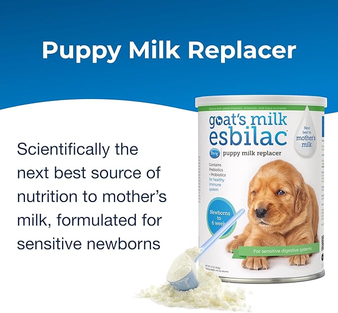 PetAg Goat’s Milk Esbilac Powder - 12 oz, Pack of 2 - Powdered Puppy Formula with Prebiotics, Probiotics & Vitamins for Puppies Newborn to Six Weeks Old - for Sensitive Digestive Systems