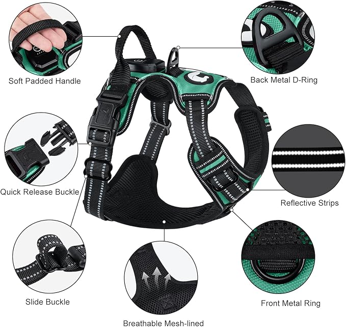 Taglory Light Up Dog Harness, Rechargeable No Pull Dog Vest with 3 Lightning Modes, Reflective Dog Harness with 2 Leash Clips & 4 Adjustable Slide Strips for Large Dogs, Turquoise-Green, L