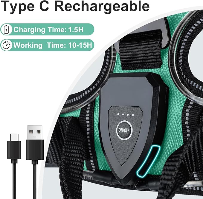 Taglory Light Up Dog Harness, Rechargeable No Pull Dog Vest with 3 Lightning Modes, Reflective Dog Harness with 2 Leash Clips & 4 Adjustable Slide Strips for Medium Dogs, Turquoise-Green, M