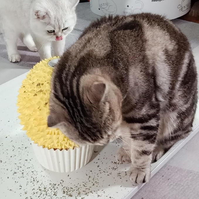 Catnip Feeder and Self Grooming Toys - Cat Face Scratcher, Wall Corner Massage Comb for Indoor Cats (yellow)