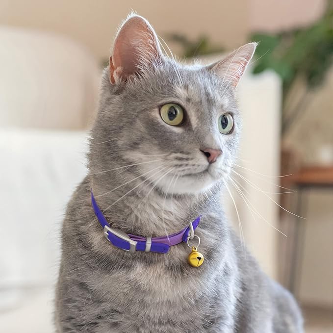 CollarDirect Leather Cat Collar with Bell - Kitten Collar, Small and Big Cat for Boy Cats, Girl Cats with Safety Elastic Strap (Neck Fit 8"-11", Purple)