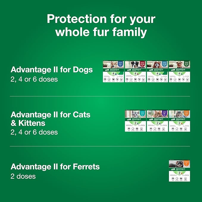 Advantage II Small Cat Vet-Recommended Flea Treatment & Prevention | Cats 5-9 lbs. | 8-Month Supply