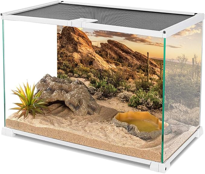 AWERT Reptile Habitat Background Blue Sky Oasis Cactus Sun and Desert Terrarium Background 36x20 inches Durable Polyester Background