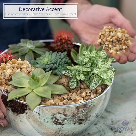 Royal Imports 5LBS River Pebbles Decorative Ornamental Rocks, Garden Landscaping Stones, Gravel Filler for Plants, Vases, Succulents, Home Decor, Aquariums, Crafting, Animal Habitat - Mini Natural