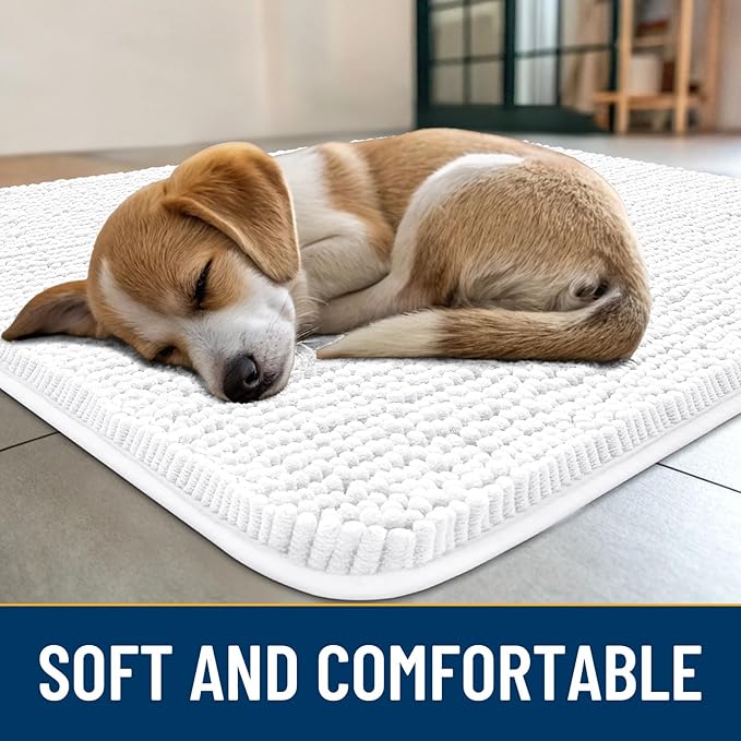 Smiry Dog Door Mat for Muddy Paws 24x16, Absorbs Moisture and Dirt Doormat, Non-Slip Washable Quick Dry Chenille Front Door Mat Indoor Entrance, Entryway Carpet for Inside Floor, White