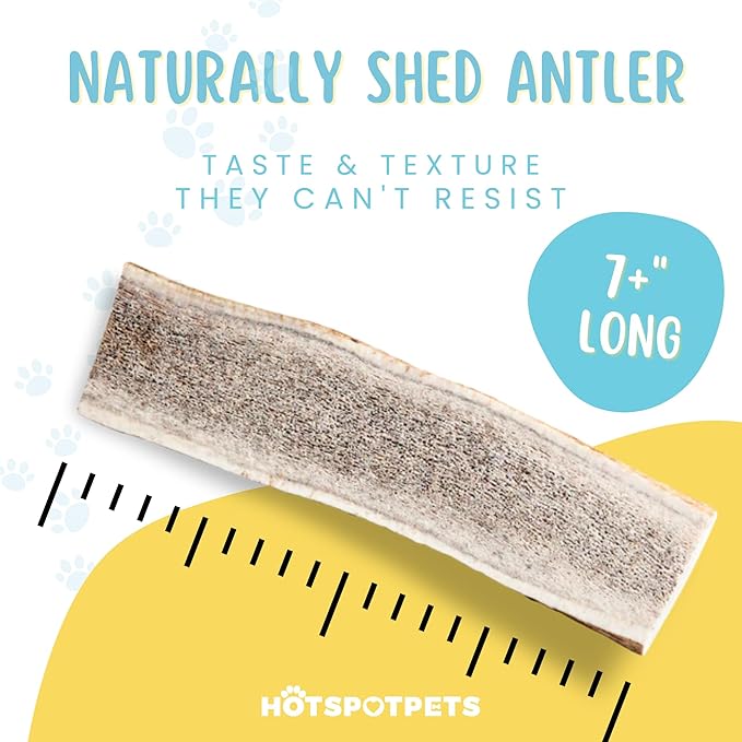 hotspot pets Premium Split Elk Antlers for Dogs - 7 Inch Large Dog Chews (2 Pack) Made in USA -Naturally Shed Antler Bone for Large Breed Aggressive Chewers -Promotes Natural Dental Hygiene
