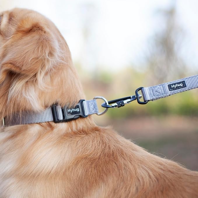 Hyhug Pets Solid Color Classic Regular Heavy Duty Basic Collar for Large Breeds Dogs, Unique Design Adjustment Triglide Slide (Buckle) Can Attached Name Tag Accessories. (Large, Sleet Gray)