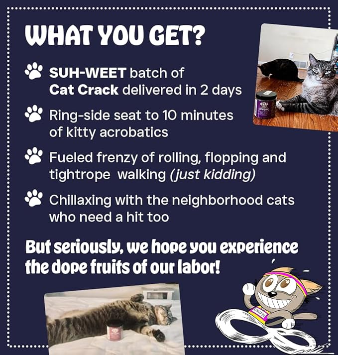 Cat Crack Catnip, Zoomie-Inducing Cat Nip Blend, North American Made & 100% Natural, Safe & Non-Addictive Catnip Treats Used to Supplement Cat Nip Toys, Spray, & Accessories (20 Cups)