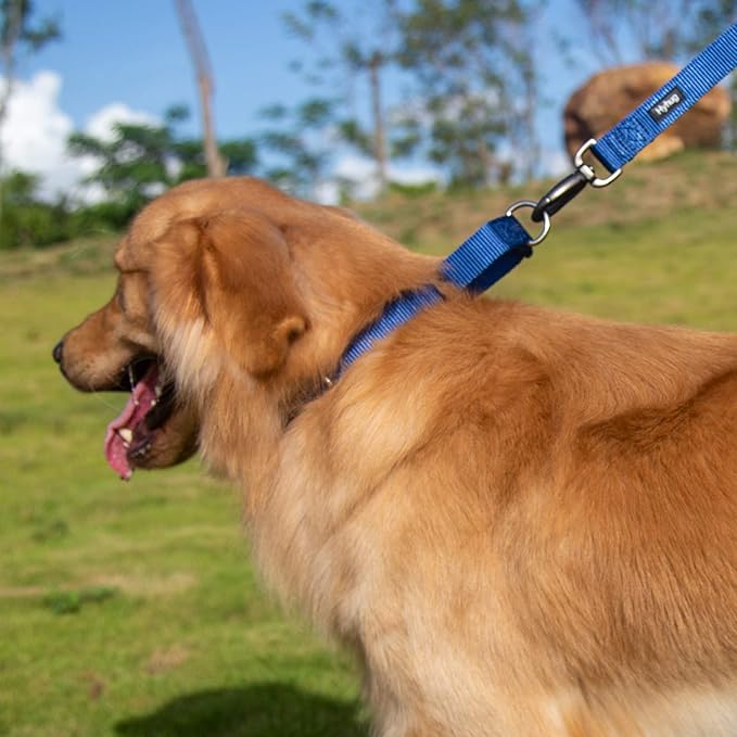 Hyhug Pets Premium Upgraded Heavy Duty Nylon Anti-Escape Martingale Collar for Boy and Girl Dogs Comfy and Safe - Professional Training, Daily Use Walking. (Large, Classic Blue)