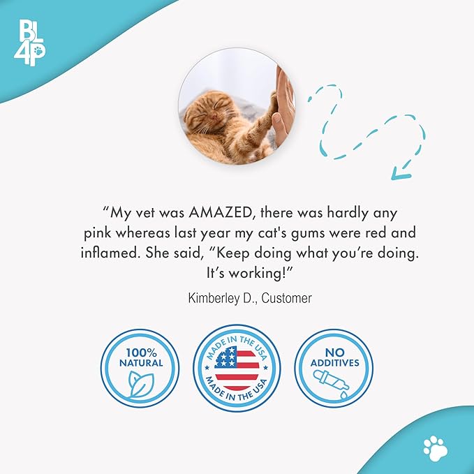 Cat Bad Breath & Oral Health Remedy, Natural Dental Care Cats Teeth, Mouth and Gums, Easy to Use Daily Supplement for Stomatitis, Gingivitis, Plaque & Tartar Control for Cats, 800 Small Pills