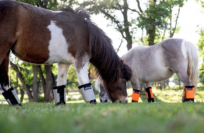 Warrior Fly Boots for Horses - Breathable Mesh Horse Boots for Fly Protection & Leg Comfort - Set of 4 (Lil Warrior, Red)