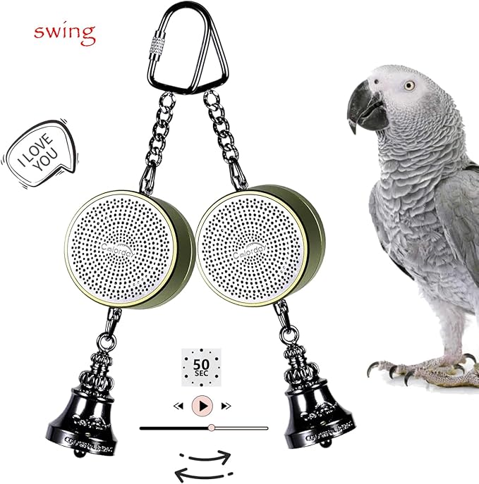 Colorday Bird Toys Parrot Talking Coach & Interactive Voice Bell for Parakeet, African Grey, Amazon Parrots, Quaker, Cockatiel, Conure (Green)