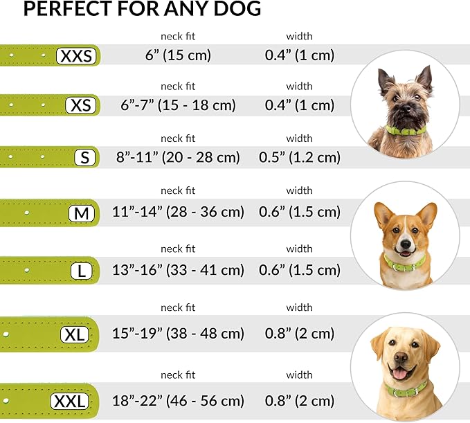 CollarDirect Rolled Leather Dog Collar, Soft Padded Round Puppy Collar, Handmade Genuine Leather Collar Dog Small Large Cat Collars 13 Colors (18-22 Inch, Lime Green Smooth)