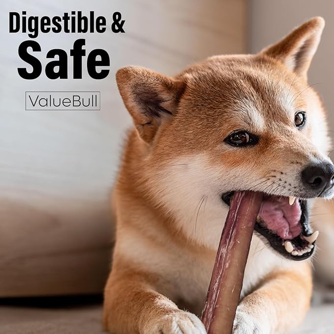 ValueBull Bully Sticks for Dogs, Thick 12 Inch, 25 Count - All Natural Dog Treats, 100% Beef Pizzles, Single Ingredient