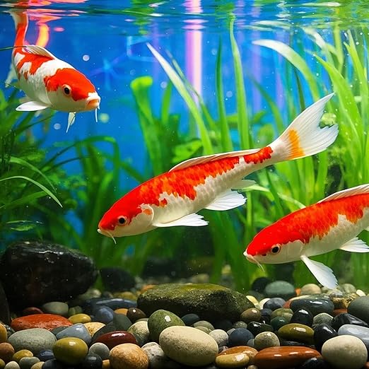 Large Pebbles for Indoor Plants, 10lbs Colorful Pebbles 2-3 Inch Decorative River Rocks for Planters, High Polished Stones for Vase Filler Fish Tank Landscaping Garden