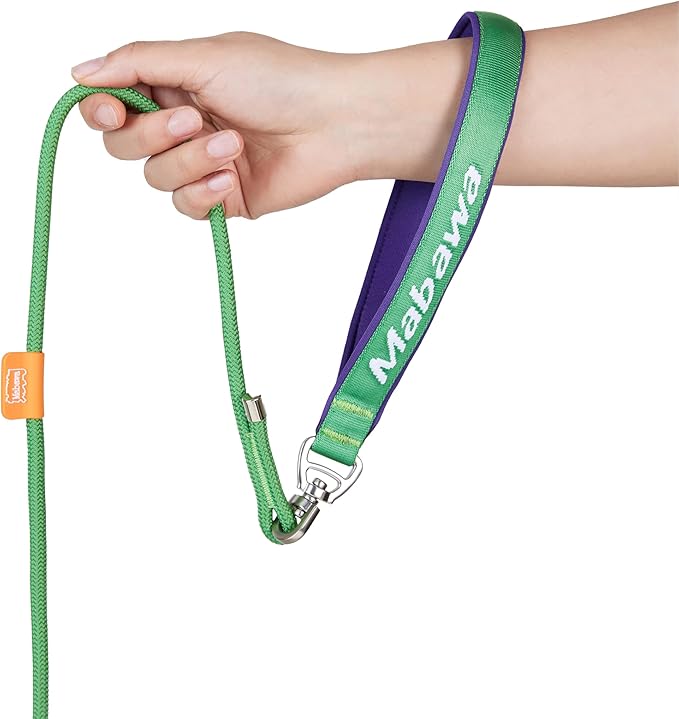 Dog Anti-Slip Leash 5FT with Metal Stopper - Durable No-Pull Training Lead for Small, Medium & Large Dogs - Comfortable Handle Nylon Rope, Tangle-Free Pet Walking Leash (Green, 5.6FT)